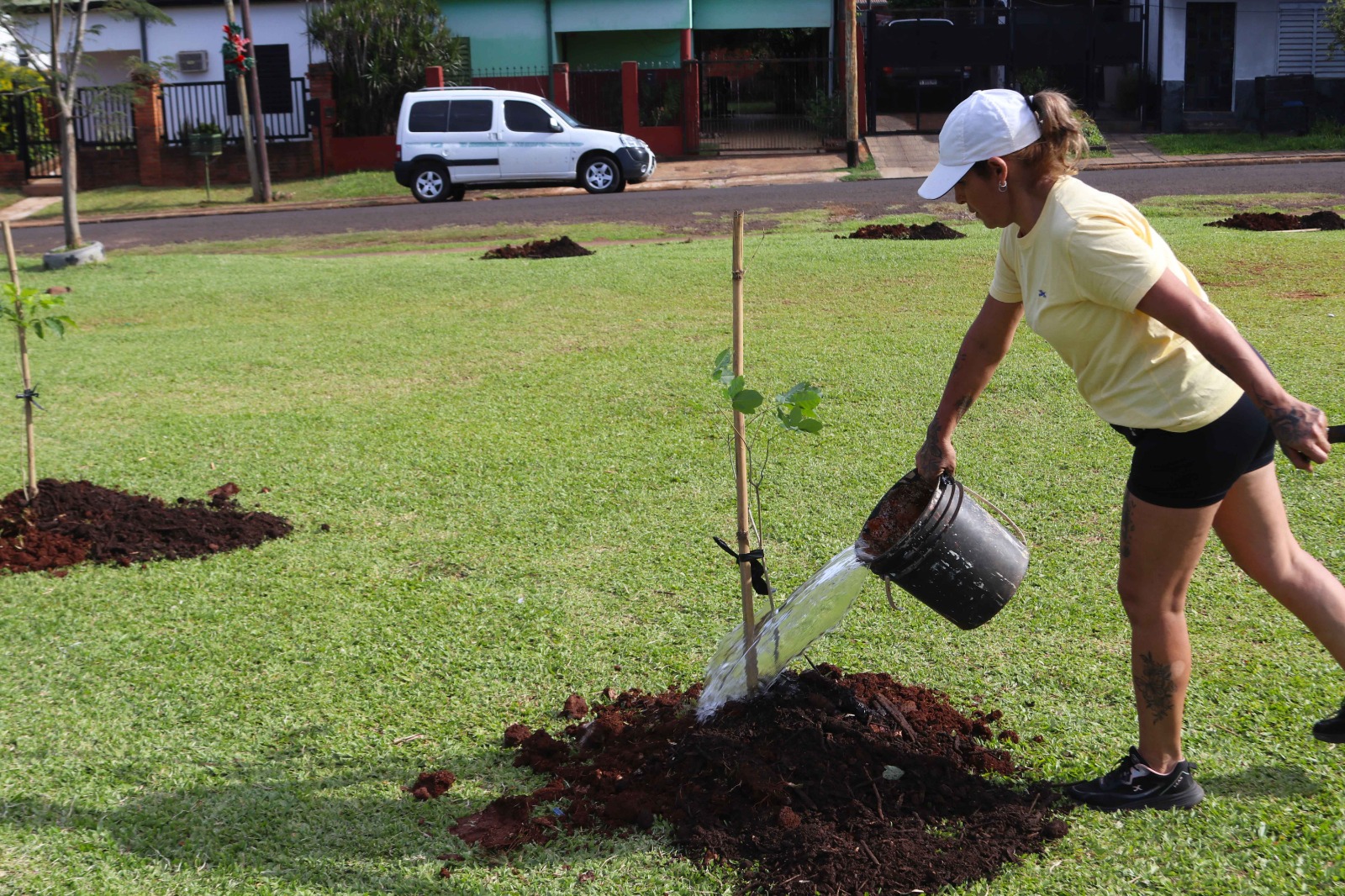 "Barrios Más Verdes" realizó otra exitosa plantación de árboles 17 "Barrios Más Verdes" realizó otra exitosa plantación de árboles imagen-16