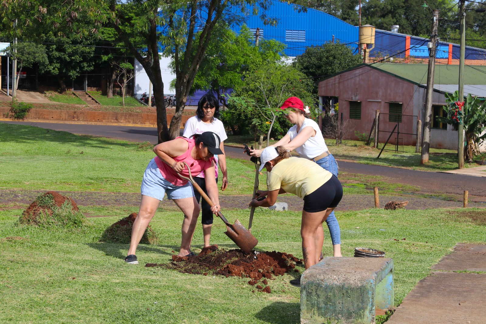 "Barrios Más Verdes" realizó otra exitosa plantación de árboles 19 "Barrios Más Verdes" realizó otra exitosa plantación de árboles imagen-18