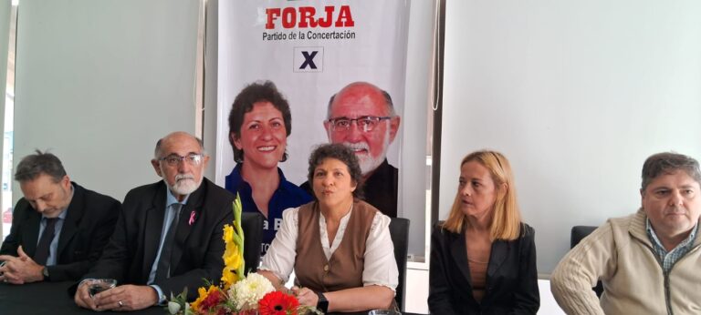 Elecciones 26-O: "La gente quiere salud pública, educación pública, jubilación digna", dicen candidatos de FORJA Misiones en su cierre de campaña imagen-37