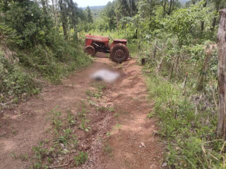 Una mujer murió tras ser arrollada por un tractor en San Antonio Una mujer murió tras ser arrollada por un tractor en San Antonio imagen-9
