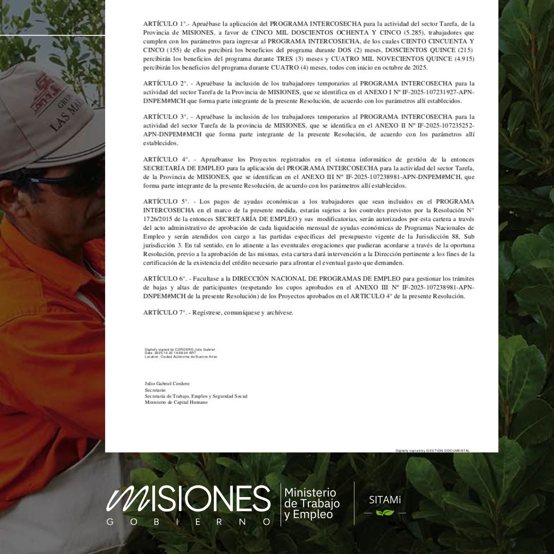 Passalacqua informó la aprobación del Programa Intercosecha para el sector tarefero, con inicio de pagos en octubre 9 Passalacqua informó la aprobación del Programa Intercosecha para el sector tarefero, con inicio de pagos en octubre imagen-8