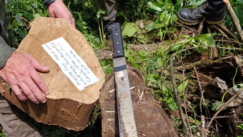 Ecología aclara que procedimiento realizado en Piñalito se enmarca "en un expediente de seguimiento" 11 Ecología aclara que procedimiento realizado en Piñalito se enmarca "en un expediente de seguimiento" imagen-10