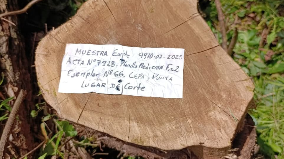 Ecología aclara que procedimiento realizado en Piñalito se enmarca "en un expediente de seguimiento" 7 Ecología aclara que procedimiento realizado en Piñalito se enmarca "en un expediente de seguimiento" imagen-6