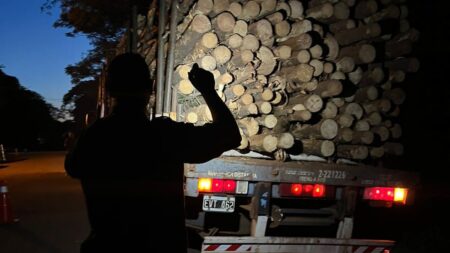 El Ministerio de Ecología refuerza los controles forestales en rutas de Misiones imagen-2