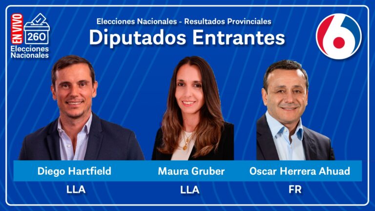 En Misiones, los resultados repiten el escenario de 2023: triunfo libertario y la Renovación mantiene su protagonismo provincial imagen-37