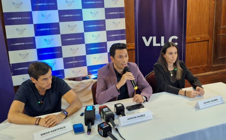 Elecciones 2025: La Libertad Avanza celebró la victoria en Misiones imagen-34