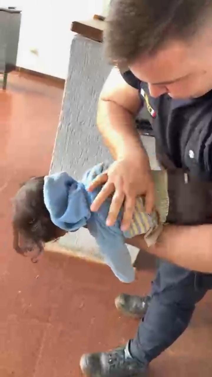 Una madre llegó desesperada a una comisaría con su bebé que no respiraba: policías le salvaron la vida 5 Una madre llegó desesperada a una comisaría con su bebé que no respiraba: policías le salvaron la vida imagen-4