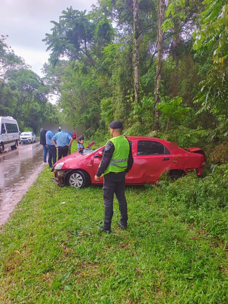 Puerto Iguazú: perdió el control del vehículo y terminó impactando contra un árbol en la Ruta Provincial 101 imagen-42