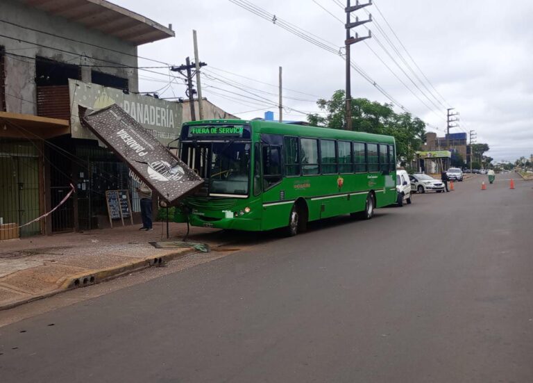 Colectivo despistó sobre la colectora de avenida Quaranta imagen-16