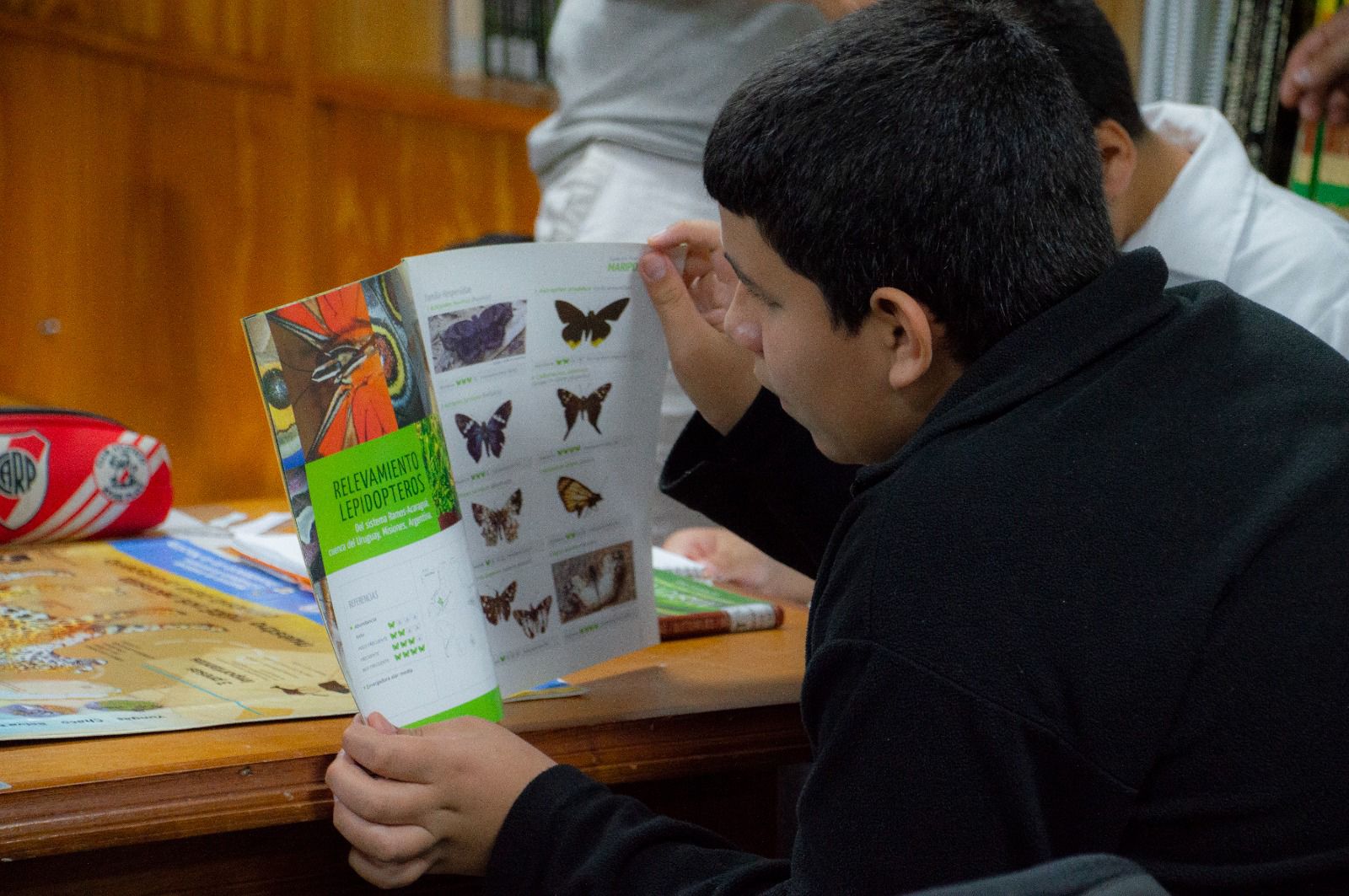 Jornada educativa sobre biodiversidad misionera en la Eco Biblioteca del Ministerio de Ecología imagen-4