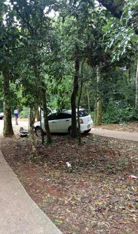 Una mujer resultó herida tras despistar con su automóvil en la zona de las 600 Hectáreas de Puerto Iguazú imagen-1