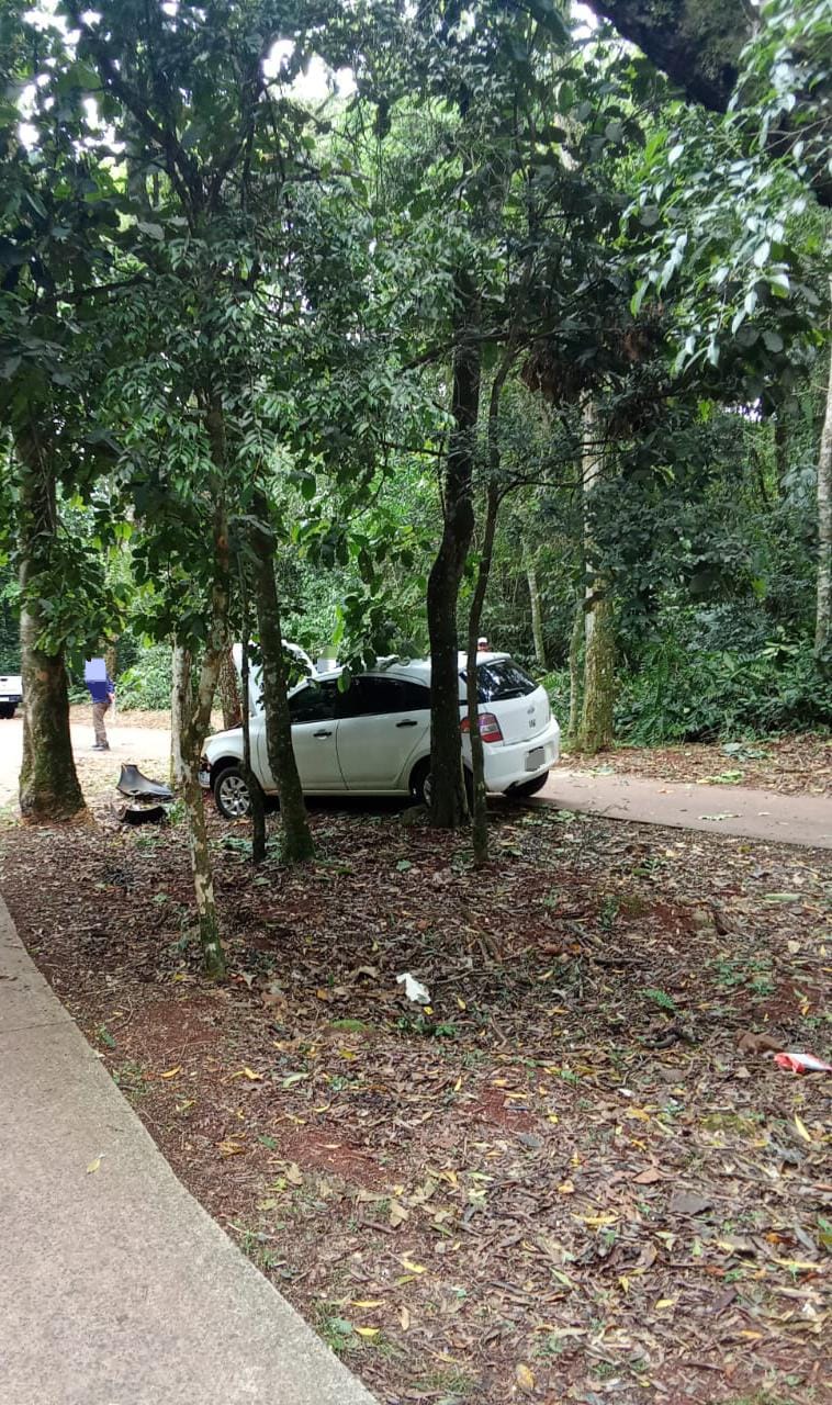 Una mujer resultó herida tras despistar con su automóvil en la zona de las 600 Hectáreas de Puerto Iguazú imagen-10