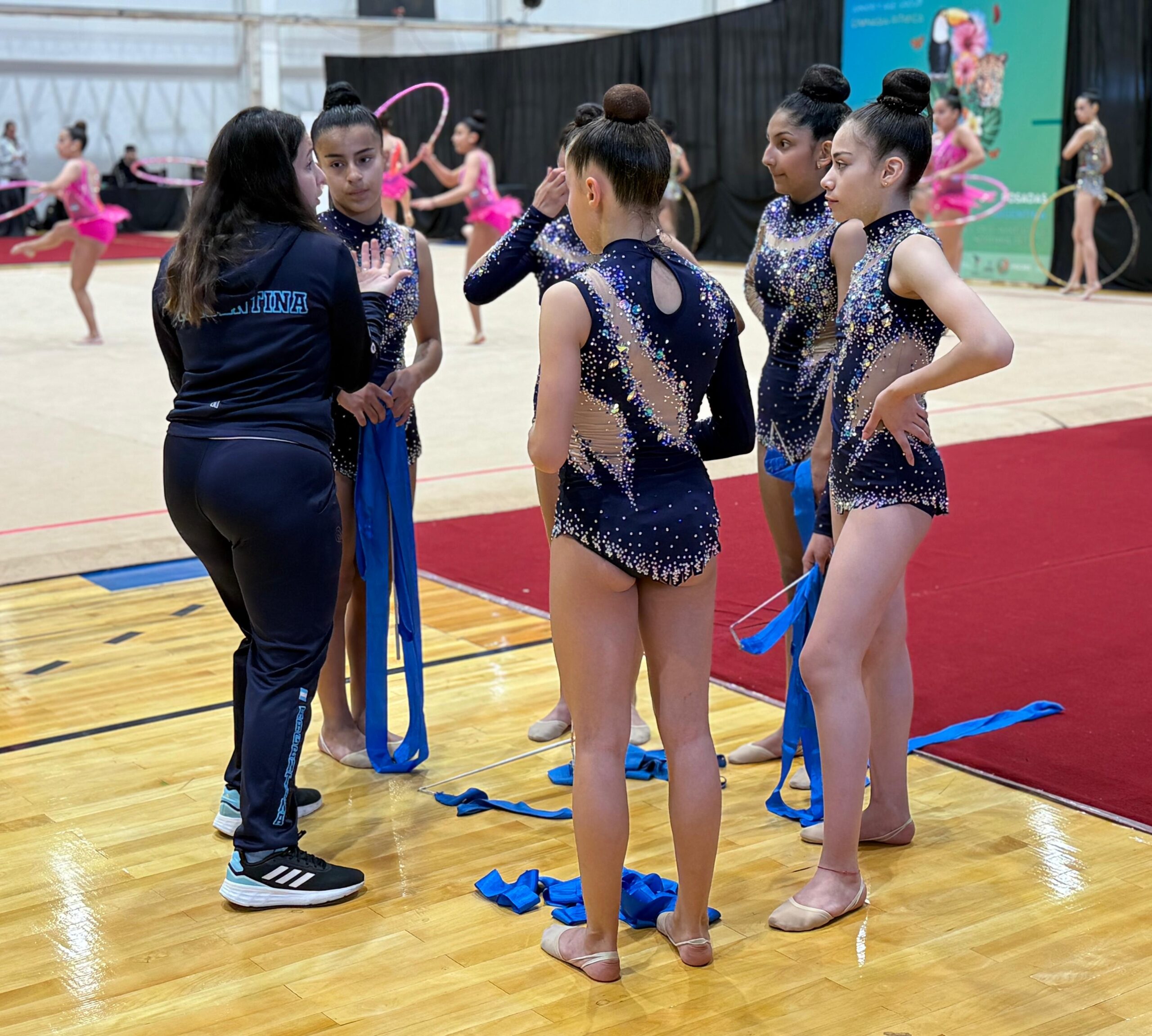 Gimnasia: comienza el Sudamericano en el CePARD 6 Gimnasia: comienza el Sudamericano en el CePARD imagen-5
