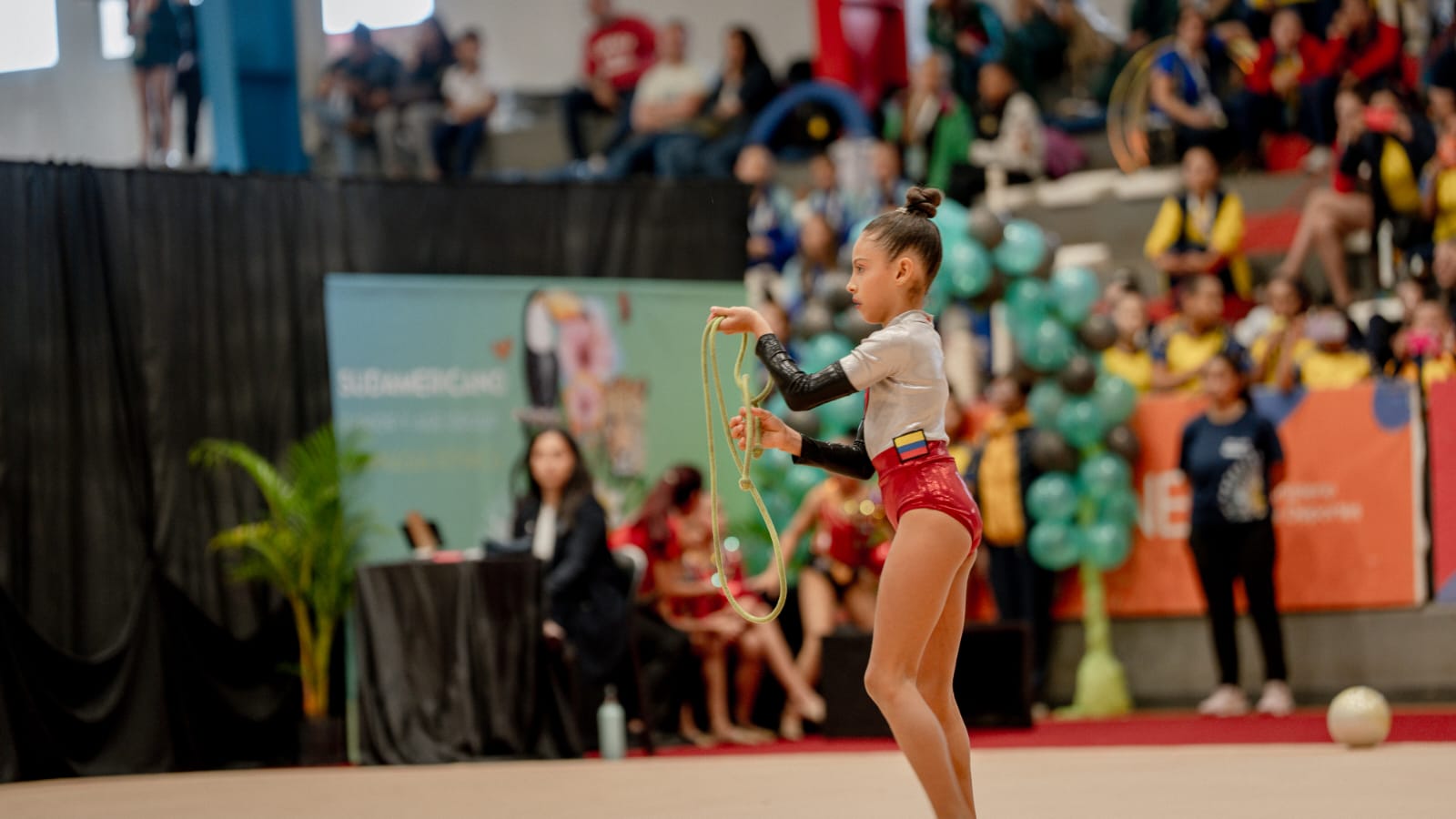Passalacqua: “es un honor para la familia misionera poder recibir por primera vez un Sudamericano de Gimnasia Rítmica” 2 Passalacqua: “es un honor para la familia misionera poder recibir por primera vez un Sudamericano de Gimnasia Rítmica” imagen-1