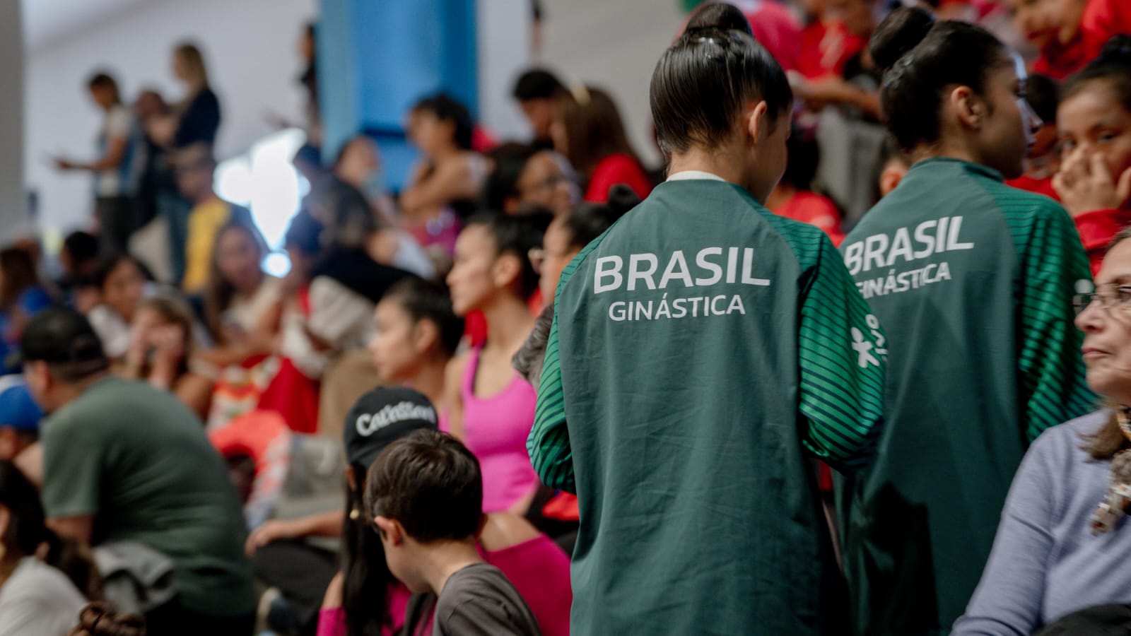 Passalacqua: “es un honor para la familia misionera poder recibir por primera vez un Sudamericano de Gimnasia Rítmica” 8 Passalacqua: “es un honor para la familia misionera poder recibir por primera vez un Sudamericano de Gimnasia Rítmica” imagen-7
