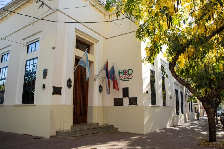 El Presupuesto 2026 del HCD posadeño se enfocará en la refuncionalización de los recursos imagen-42