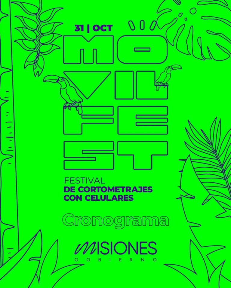 El talento misionero como protagonista en la 11ma edición del gran festival de creatividad móvil imagen-7