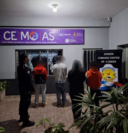 Nuevamente tras las rejas: dos hermanos fueron liberados y a las pocas horas detenidos por otro robo imagen-5