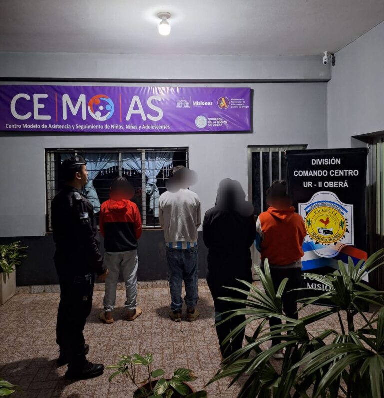 Nuevamente tras las rejas: dos hermanos fueron liberados y a las pocas horas detenidos por otro robo imagen-33