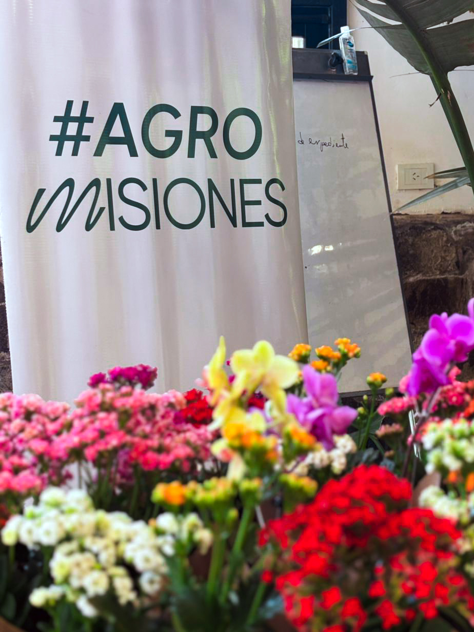 Expo Jardín Misiones 2025: una articulación público-privada para fortalecer la cultura verde de la provincia imagen-2