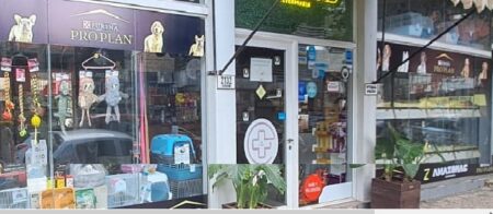 Allanan veterinaria céntrica de Posadas y rescatan más de cien animales silvestres imagen-2