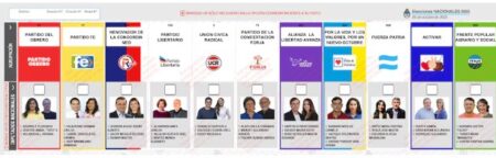 Elecciones legislativas: en Misiones, 1.002.166 electores están habilitados para votar, renovarán tres bancas en la Cámara de Diputados de la Nación imagen-10