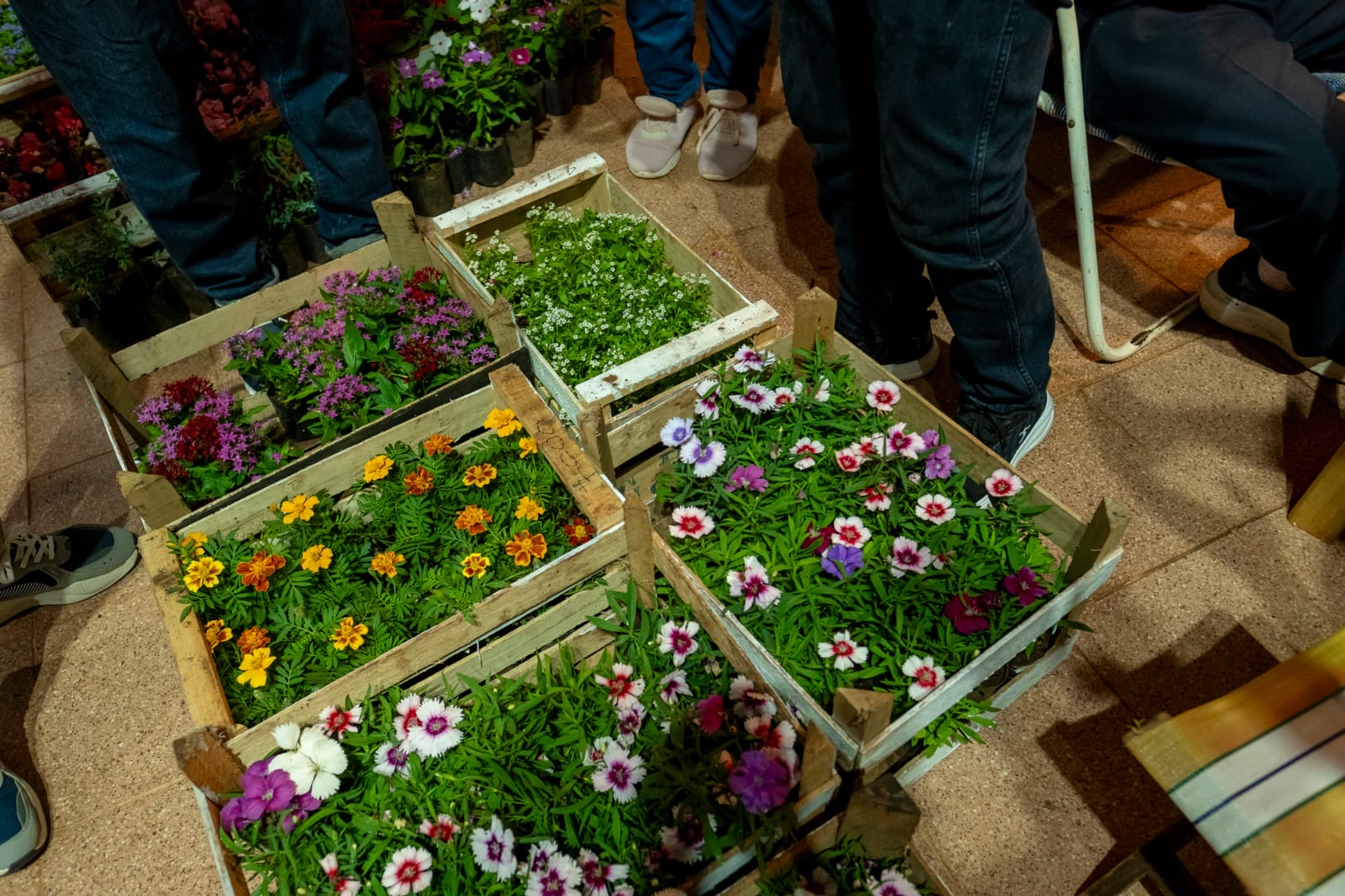 Passalacqua: “En Misiones tenemos todas las condiciones para construir un núcleo económico fuerte a partir de la producción de flores” imagen-12