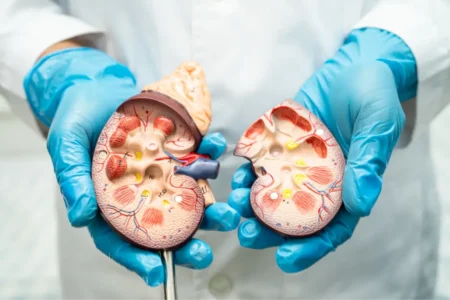 El 12% de los argentinos padece enfermedad renal crónica: nutricionista brinda pautas de alimentación para cuidar los riñones imagen-3
