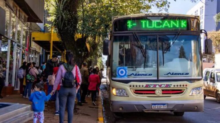 La ETCE dejará de prestar sus recorridos en Eldorado tras la asunción del servicio de transporte público por parte de la Municipalidad imagen-4