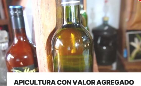 Legislatura sancionó la ley que crea el Programa de Fomento para la Producción de Hidromiel imagen-7