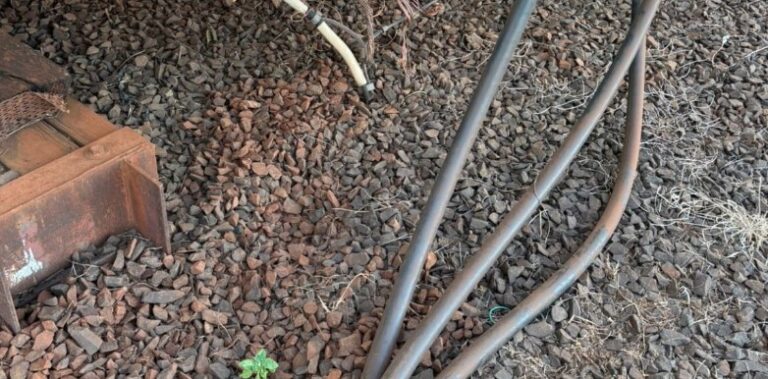 Hurto de energía: más de 11 mil inspecciones llevó a cabo Energía de Misiones en lo que va del año imagen-43