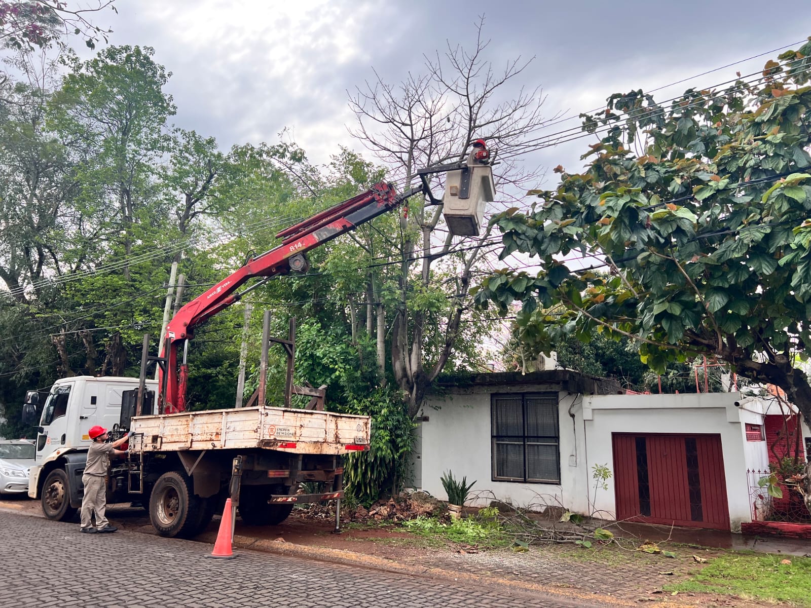 Energía de Misiones continúa con el operativo de despeje de líneas en Posadas 3 Energía de Misiones continúa con el operativo de despeje de líneas en Posadas imagen-2
