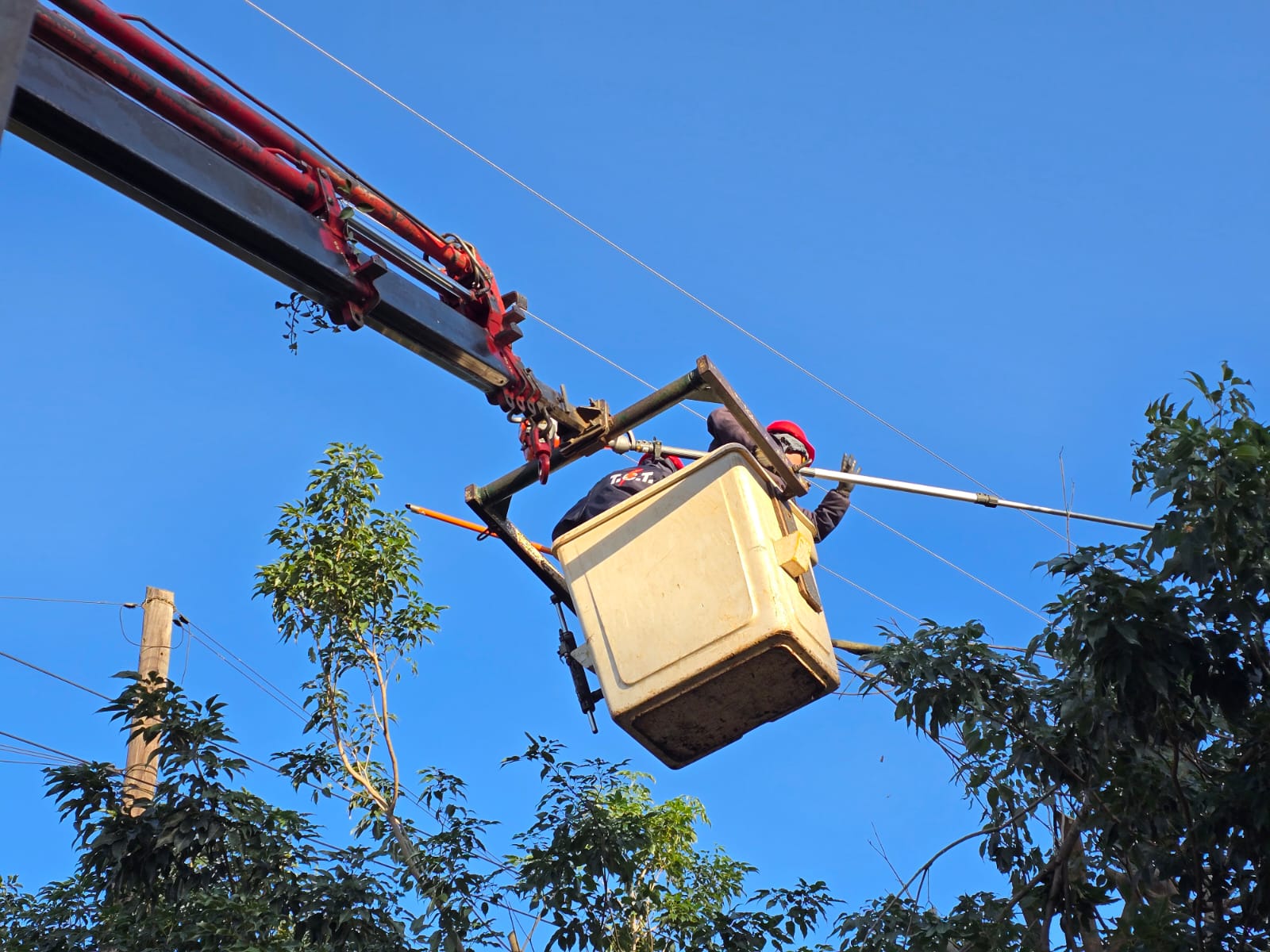 Energía de Misiones continúa con el operativo de despeje de líneas en Posadas 5 Energía de Misiones continúa con el operativo de despeje de líneas en Posadas imagen-4