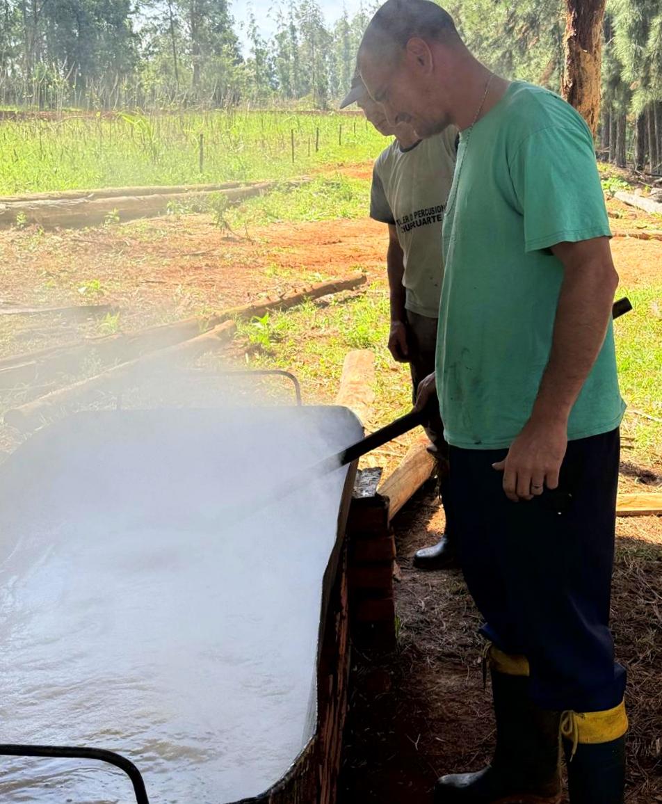 Una chacra multi productiva de Alba Posse mantiene la tradición centenaria de elaborar melado imagen-10