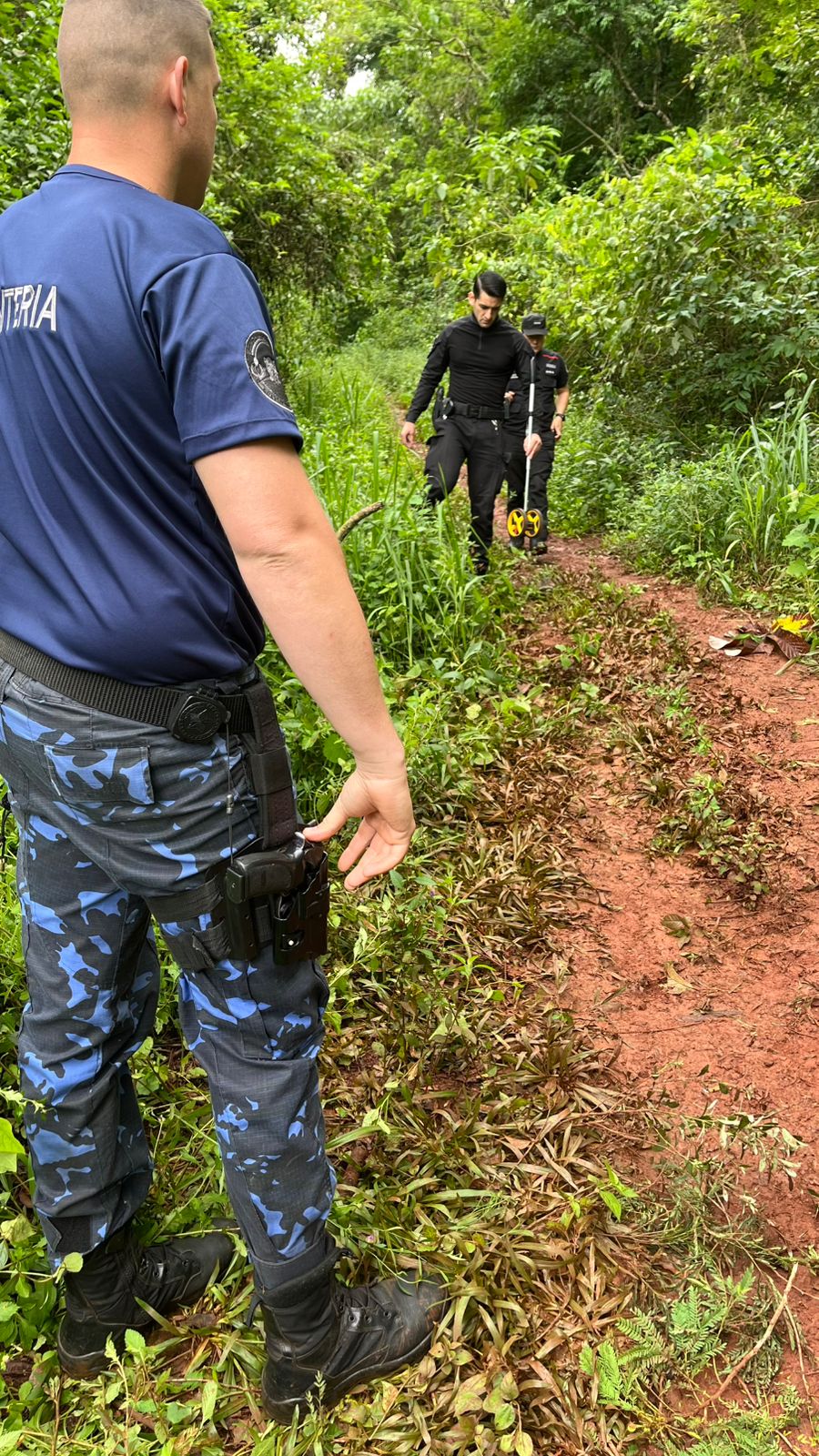 Puerto Iguazú: confirman nuevo robo de cables subterráneos en las 600 Hectáreas 3 Puerto Iguazú: confirman nuevo robo de cables subterráneos en las 600 Hectáreas imagen-2