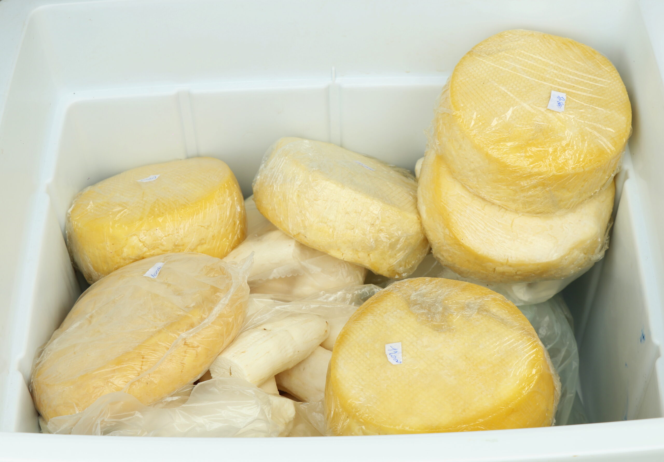 Bernardo de Irigoyen: Recuperan CIC de Vista Alegre y lo transforman en espacio de producción y capacitación comunitaria 11 Bernardo de Irigoyen: Recuperan CIC de Vista Alegre y lo transforman en espacio de producción y capacitación comunitaria imagen-10