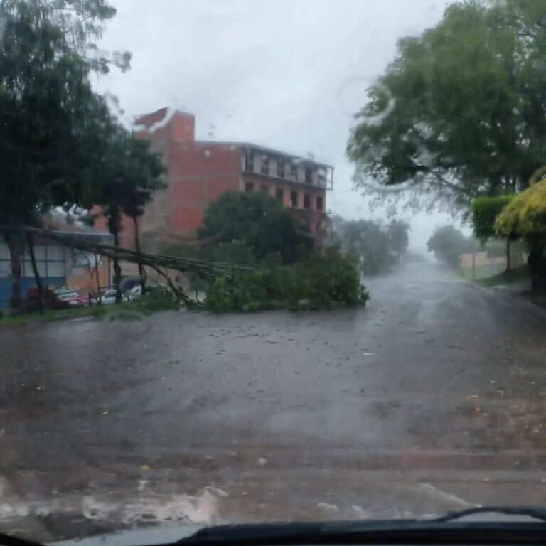 Tiempo: el temporal ya pasó y establecen el fin de la Advertencia Meteorológica imagen-26