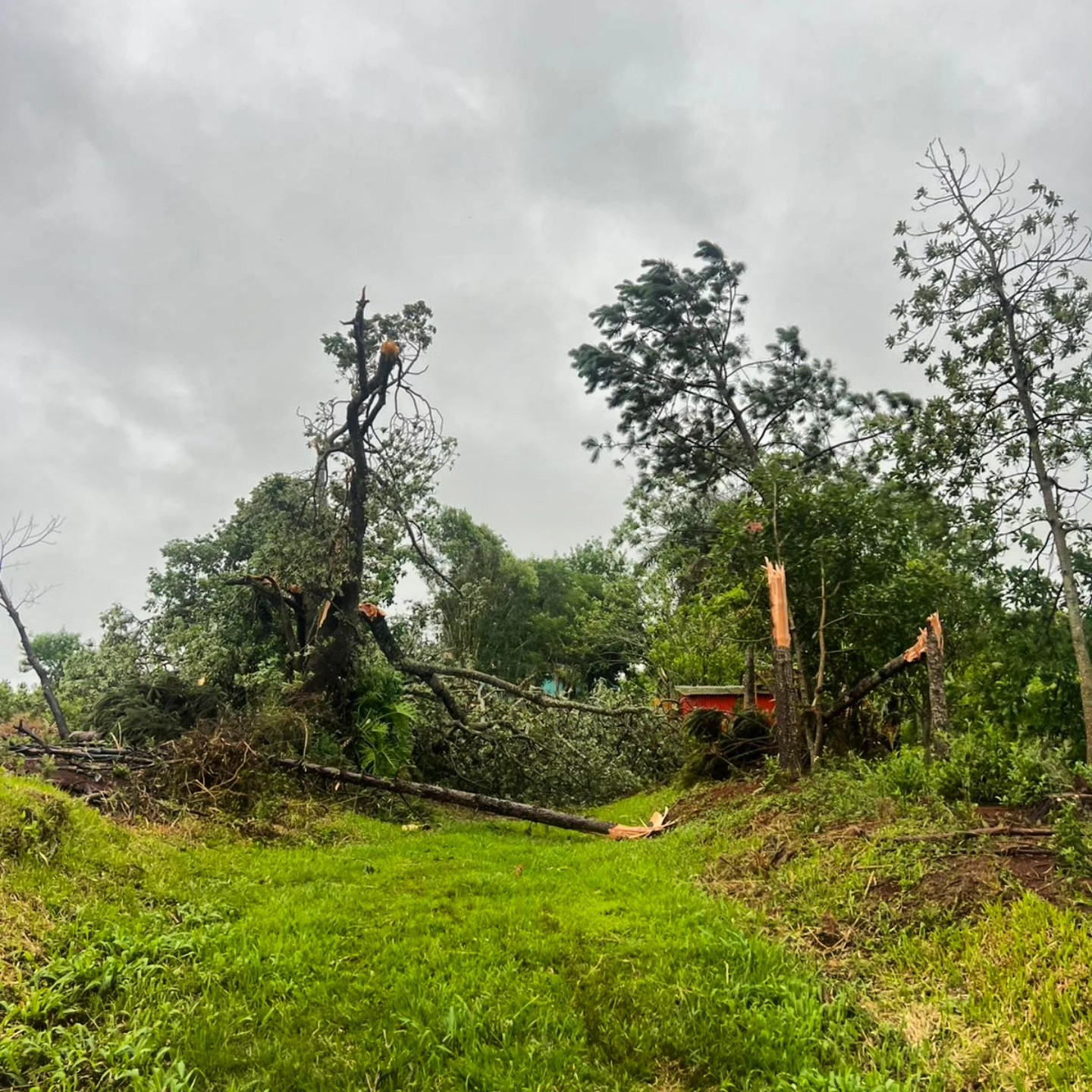 Ráfagas de vientos y lluvias afectaron varias localidades de Misiones: relevan daños y asisten a familias afectadas por el temporal 21 Ráfagas de vientos y lluvias afectaron varias localidades de Misiones: relevan daños y asisten a familias afectadas por el temporal imagen-20