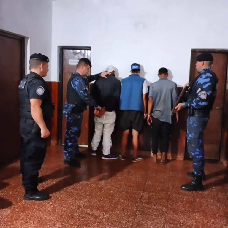 Operaciones policiales en Misiones: casi 40 detenidos y 100 vehículos incautados en solo 24 horas imagen-14