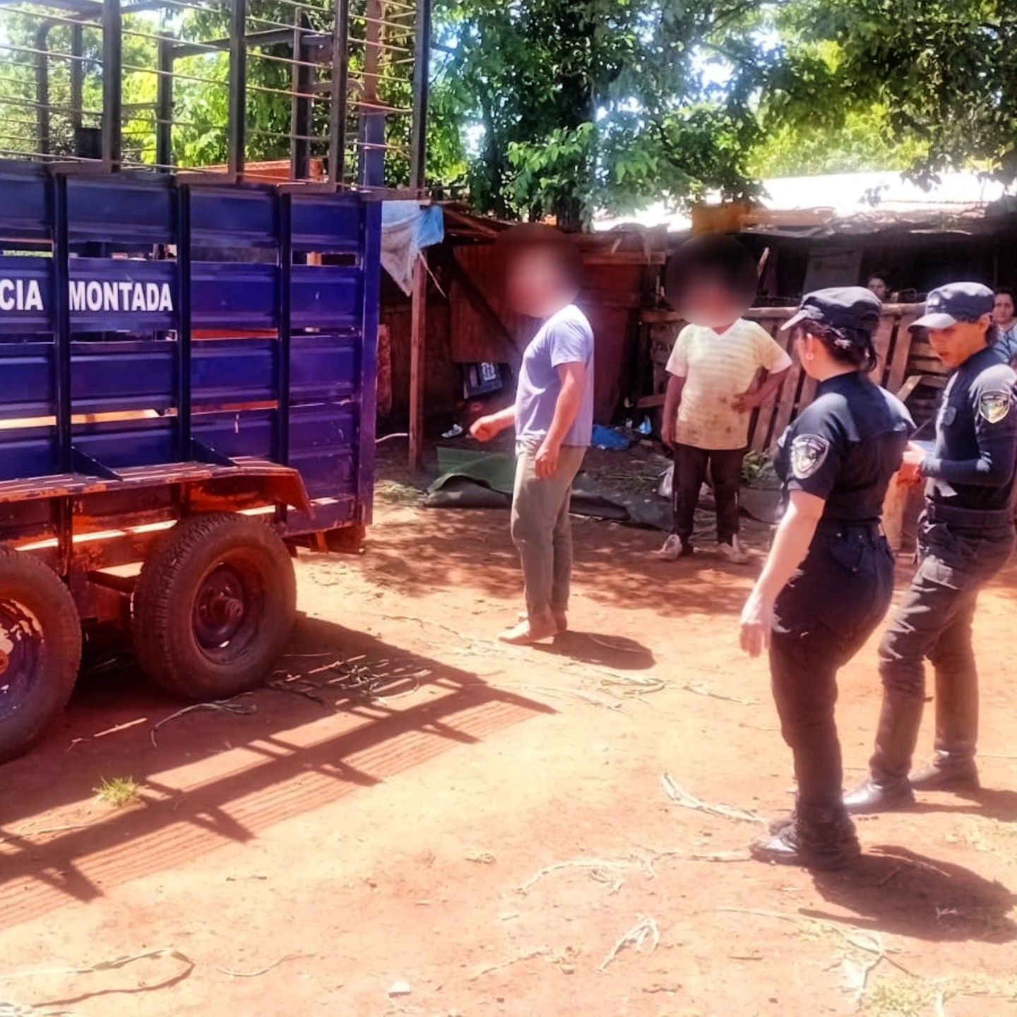 Un caballo colapsó de agotamiento y la Policía montó un operativo para rescatarlo en Posadas 3 Un caballo colapsó de agotamiento y la Policía montó un operativo para rescatarlo en Posadas imagen-2