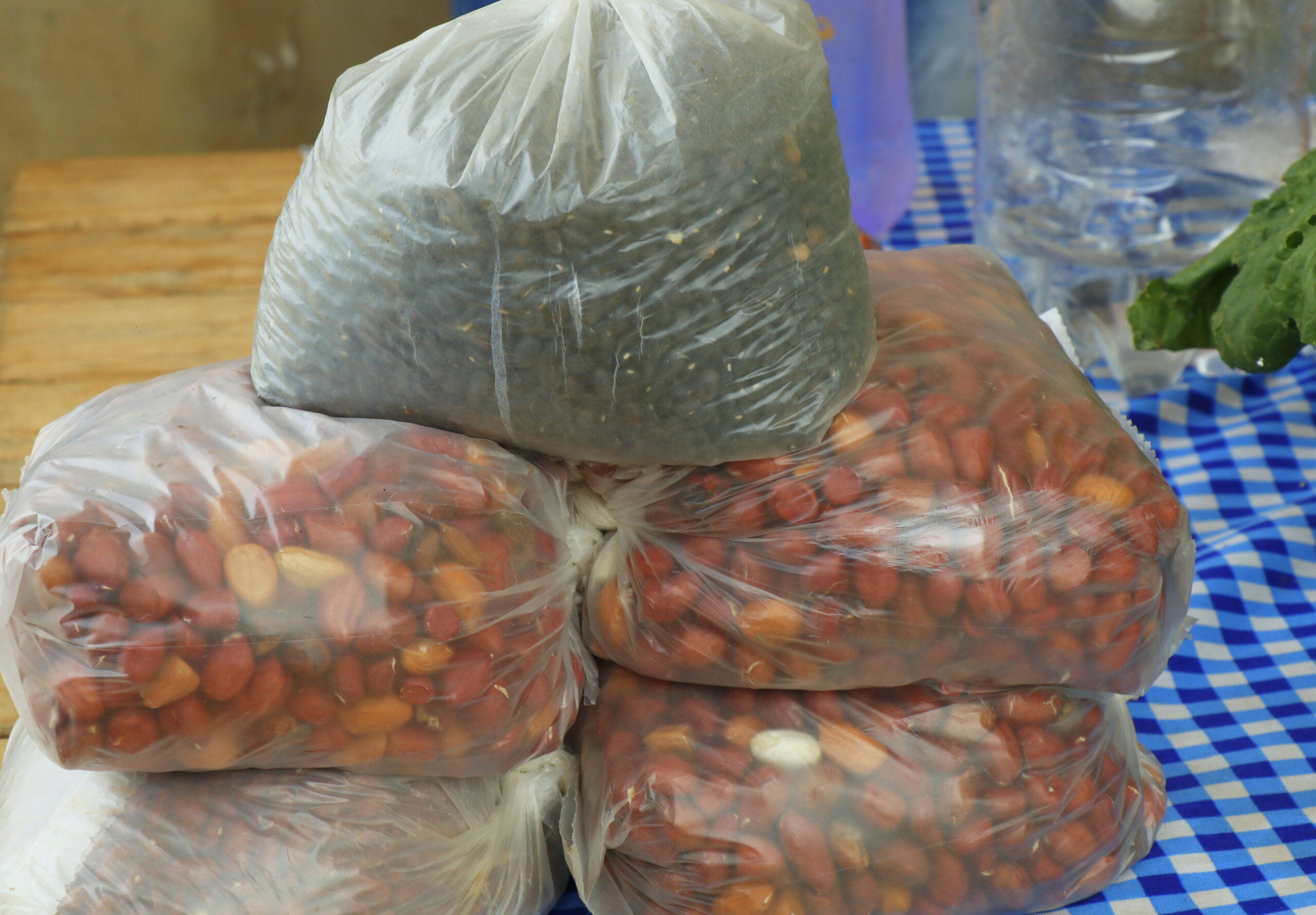 Bernardo de Irigoyen: Recuperan CIC de Vista Alegre y lo transforman en espacio de producción y capacitación comunitaria 17 Bernardo de Irigoyen: Recuperan CIC de Vista Alegre y lo transforman en espacio de producción y capacitación comunitaria imagen-16