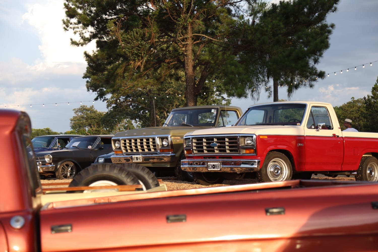 Passalacqua destacó el impulso productivo y comunitario de la Fiesta de las Frutas Tropicales en Almafuerte 33 Passalacqua destacó el impulso productivo y comunitario de la Fiesta de las Frutas Tropicales en Almafuerte imagen-32