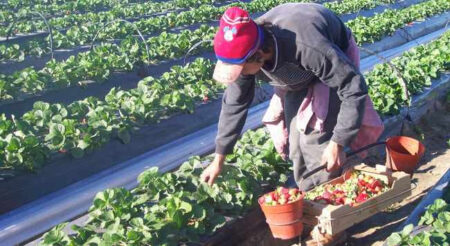 El RENATRE aumenta la Prestación por Desempleo a $346.500 a partir del 1° de diciembre imagen-8