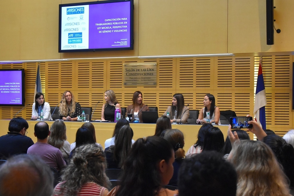 La Legislatura realizó una nueva capacitación en Ley Micaela sobre violencia de género en contextos laborales imagen-4