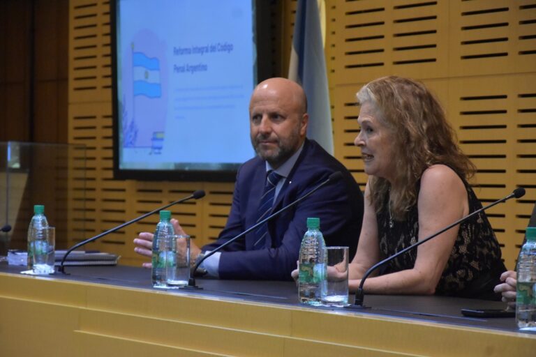 Presentaron en la Legislatura el proyecto del nuevo Código Penal de la Nación imagen-50