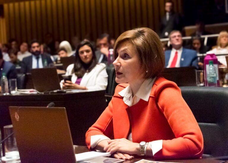Legislatura: tras 4 años de trabajo legislativo, la diputada Vaider presentó su informe final de gestión imagen-47