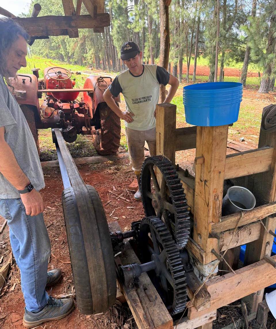 Una chacra multi productiva de Alba Posse mantiene la tradición centenaria de elaborar melado imagen-4