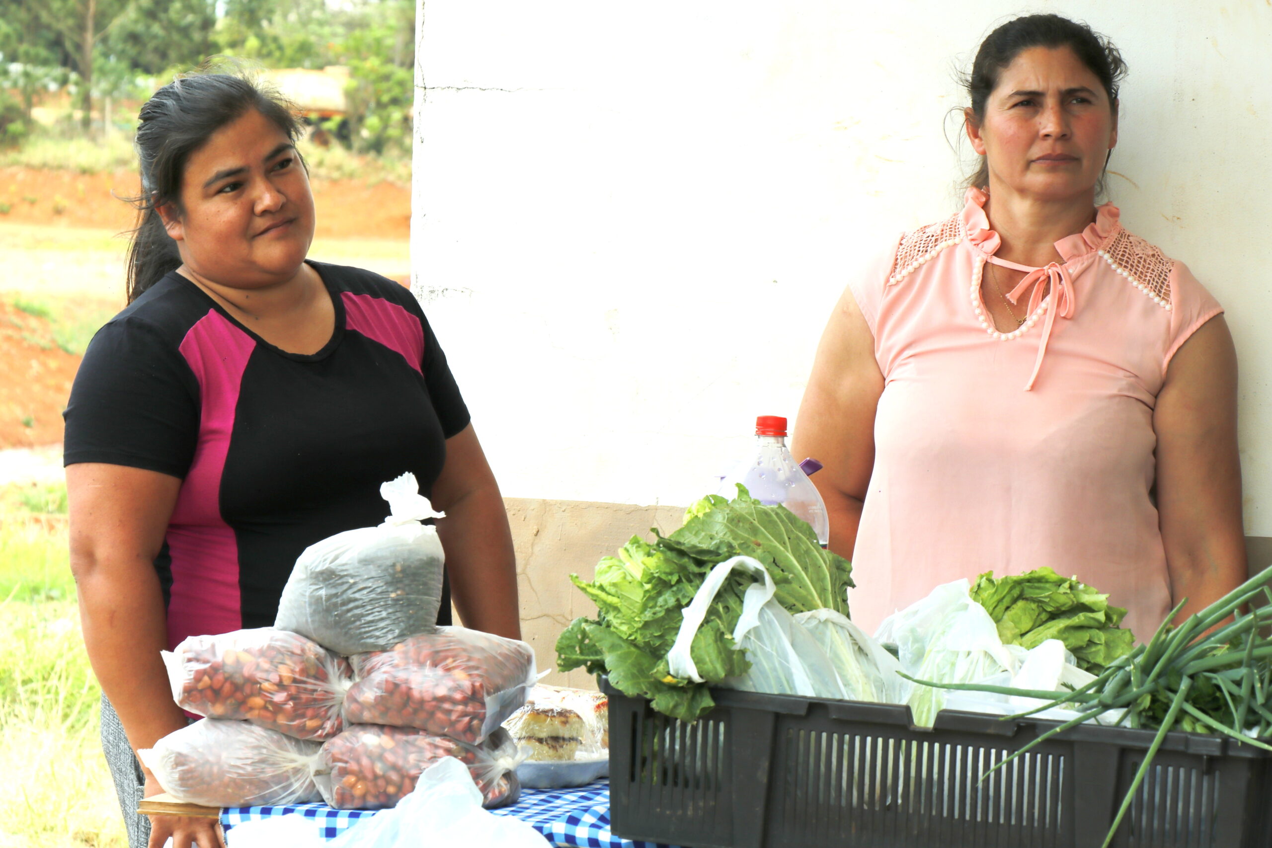Bernardo de Irigoyen: Recuperan CIC de Vista Alegre y lo transforman en espacio de producción y capacitación comunitaria 5 Bernardo de Irigoyen: Recuperan CIC de Vista Alegre y lo transforman en espacio de producción y capacitación comunitaria imagen-4