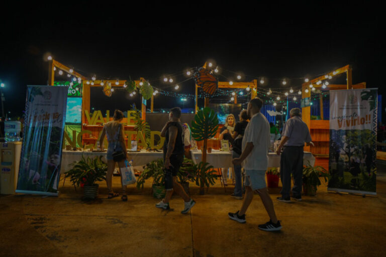 Misiones se prepara para una nueva edición de su Feria de Turismo imagen-33