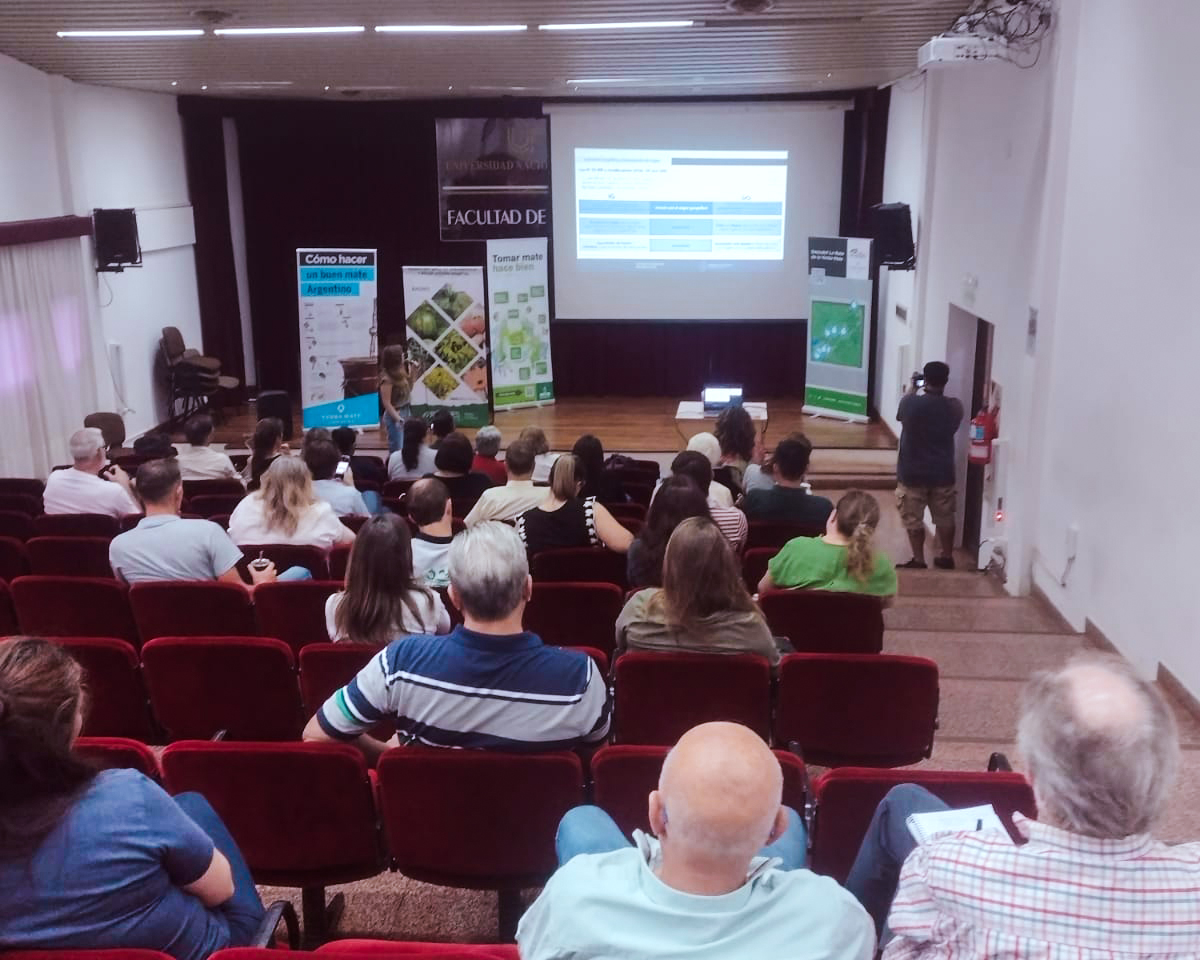 Competitividad desde la identidad: Misiones impulsa las indicaciones geográficas del té y la yerba mate 5 Competitividad desde la identidad: Misiones impulsa las indicaciones geográficas del té y la yerba mate imagen-4